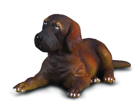 Collecta Great Dane Puppy