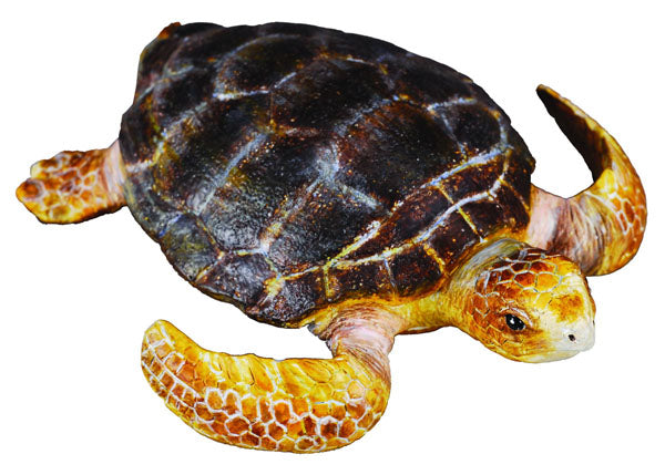 Collecta Loggerhead Turtle