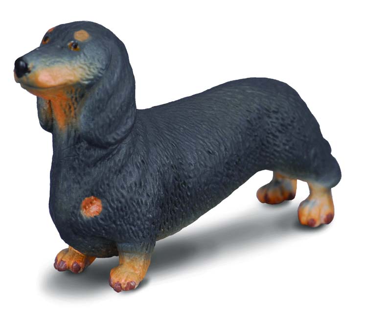 Collecta Dachshund