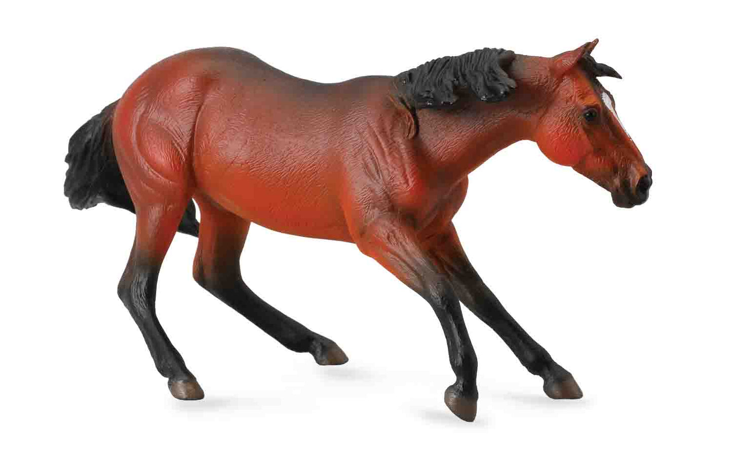 Collecta Quarter Horse Stallion Bay