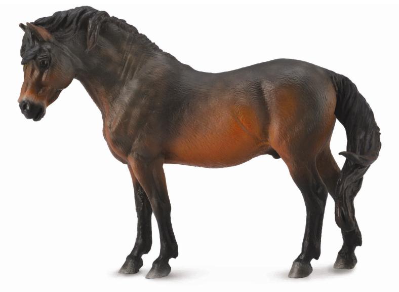 Collecta Dartmoor Pony Bay