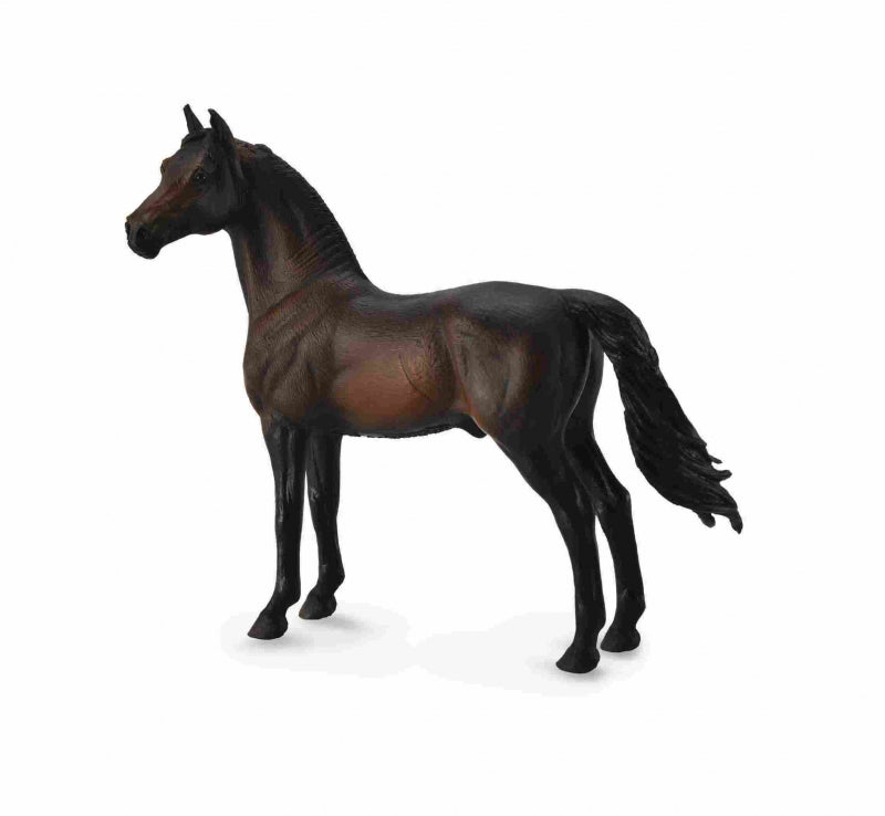 Collecta Morgan Stallion Bay