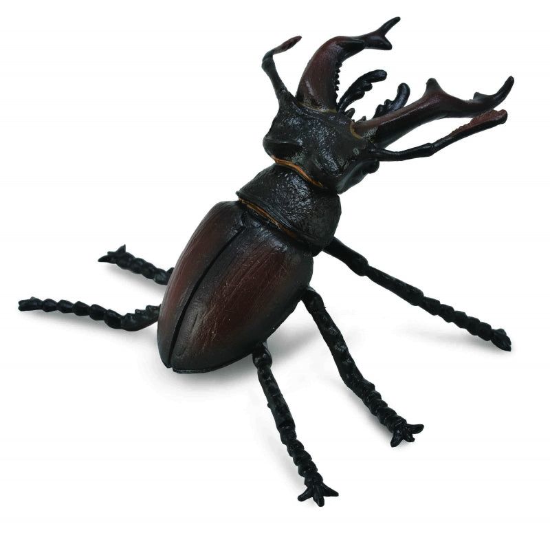 Collecta Stag Beetle