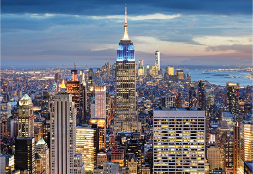 Jigsaw 1000pc Worlds Smallest - New York