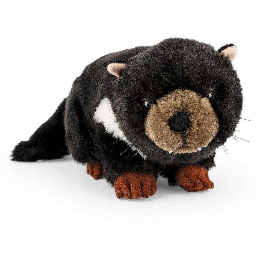 Living Nature - Tasmanian Devil