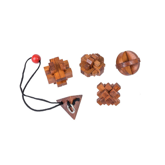 Great Minds Women's Set of 5 Puzzle s