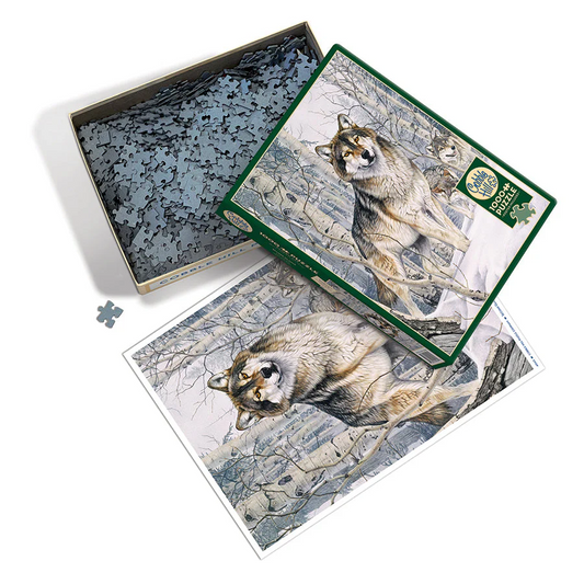 Jigsaw 1000pc Cobble Hill - Second Glance