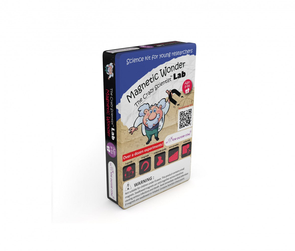 The Crazy Scientist Lab: Magnetic Wonder