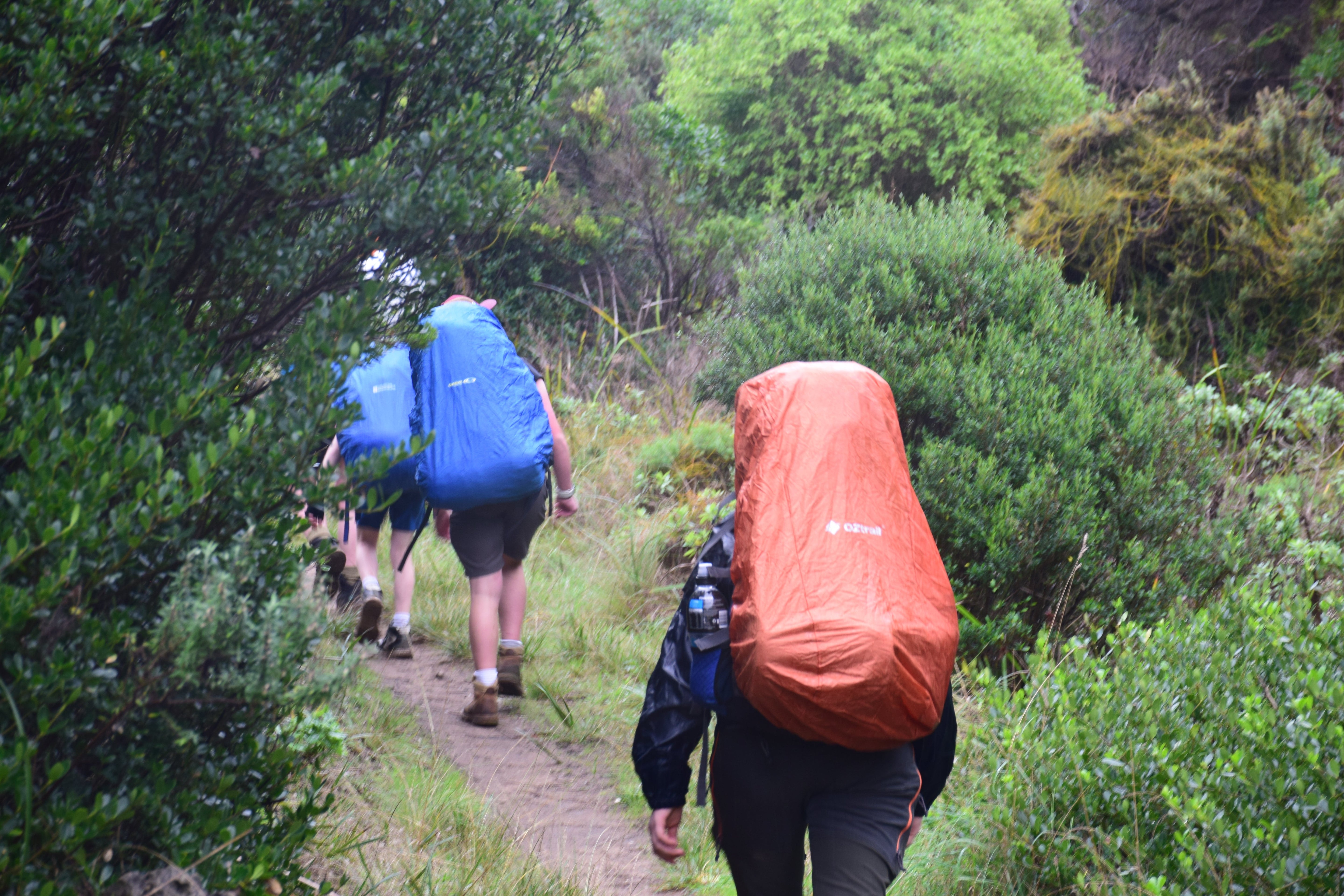 Day & Hike Packs