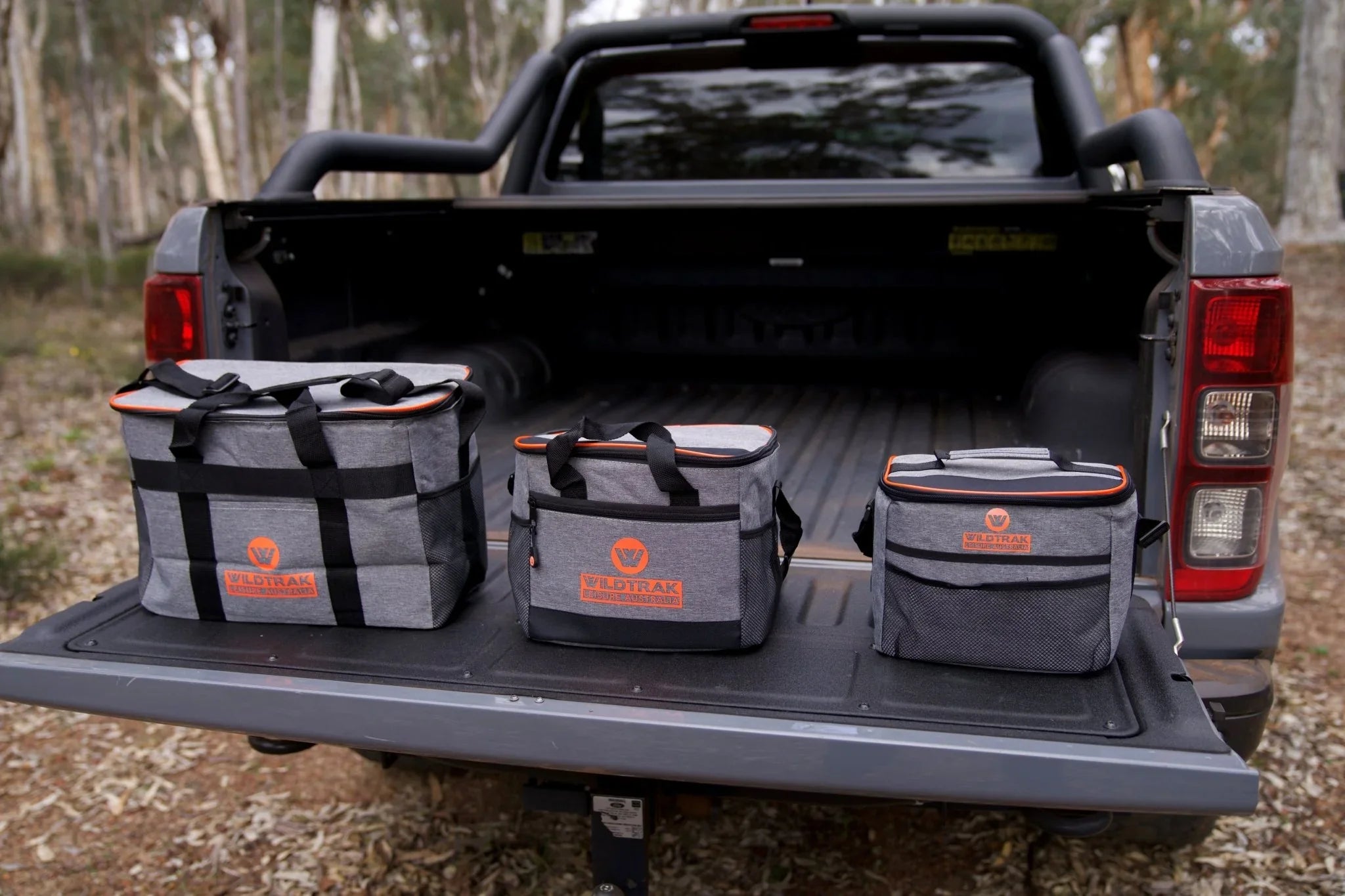 Cooler Bag