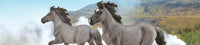 Collecta | Horse Country