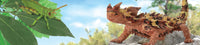 Collecta | Little Wonders