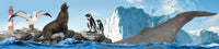 Collecta | Oceans & Ice