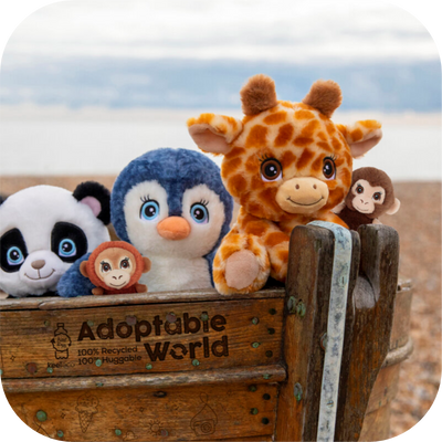 Plush Toys