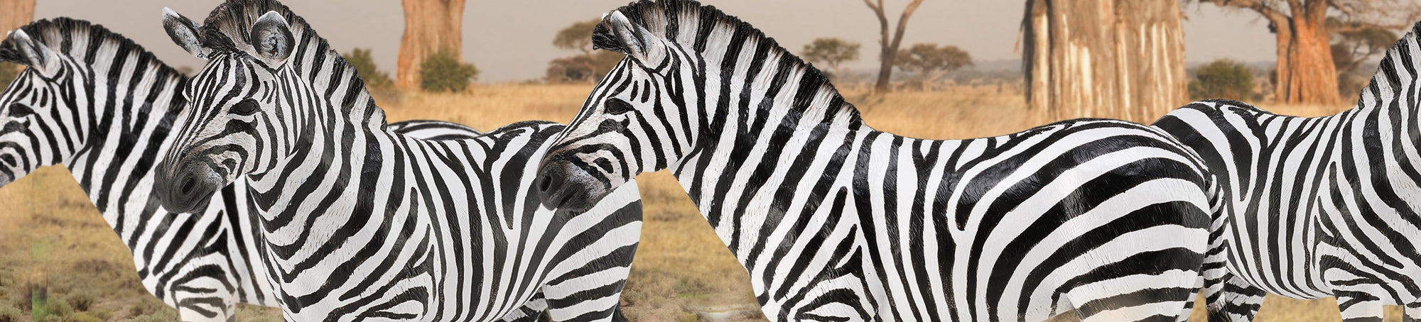 Collecta | Wildlife