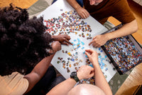 1000 Piece Jigsaws