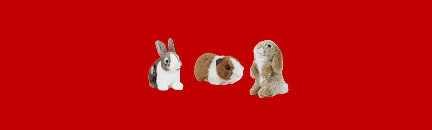 Plush Toys | Guinea Pigs & Rabbits
