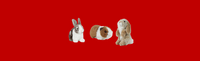 Plush Toys | Guinea Pigs & Rabbits