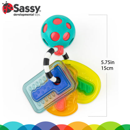 Sassy Drive & Drool Key