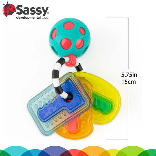 Sassy Drive & Drool Key