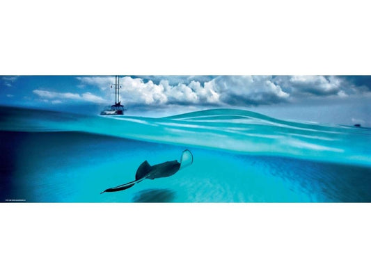 Jigsaw 1000pc Panorama Stingray