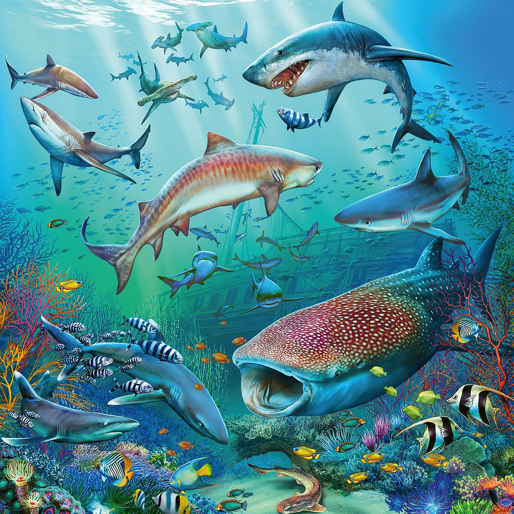 Jigsaw 3 x 49pc - Ravensburger - Ocean Life