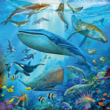 Jigsaw 3 x 49pc - Ravensburger - Ocean Life