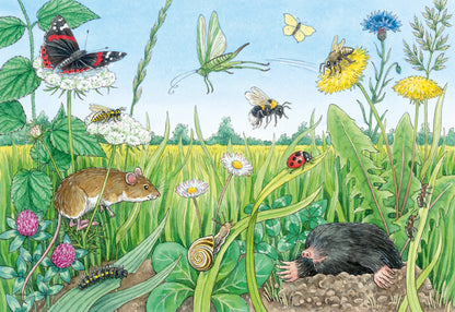 Jigsaw 2 x 12pc - Ravensburger - Animals in the Forestand Meadow