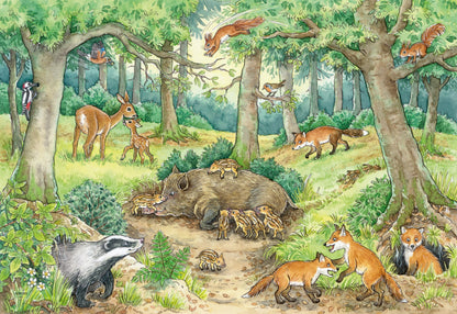 Jigsaw 2 x 12pc - Ravensburger - Animals in the Forestand Meadow
