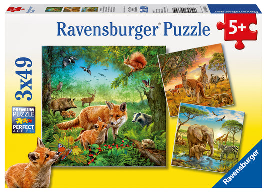 Jigsaw 3 x 49pc - Ravensburger - Animals of the Earth