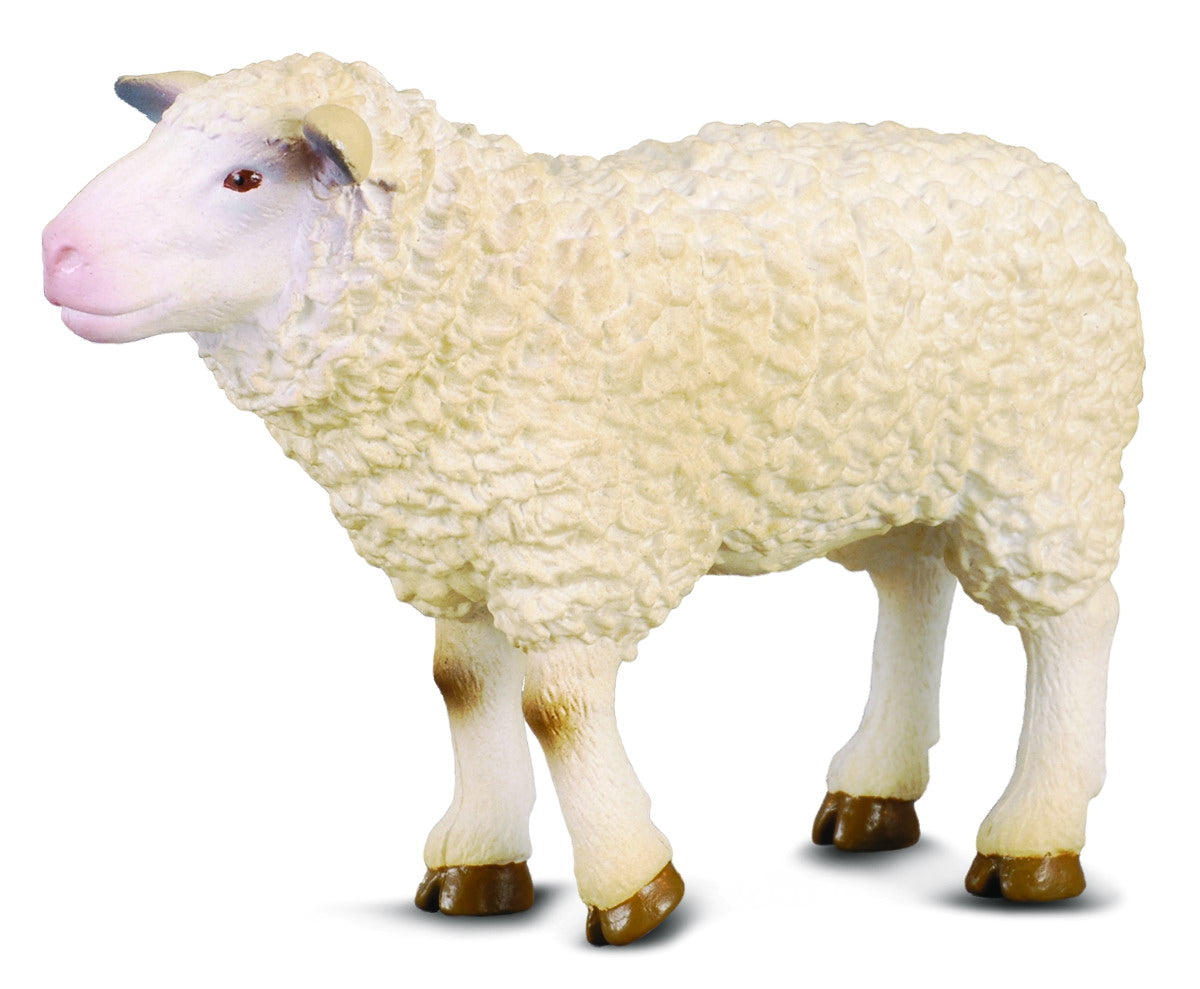 Collecta Sheep