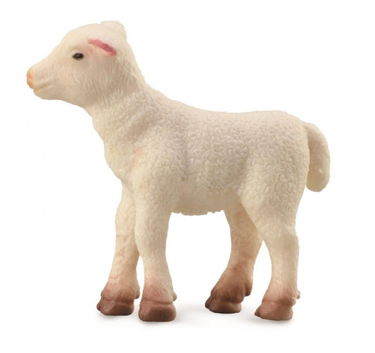 Collecta Lamb