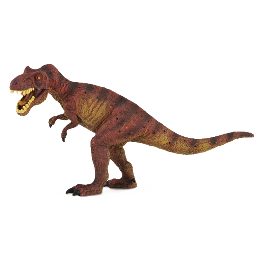 Collecta Tyrannosaurus - Rex