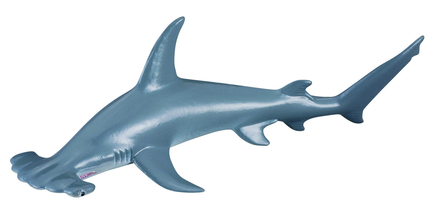 Collecta Scalloped Hammerhead Shark