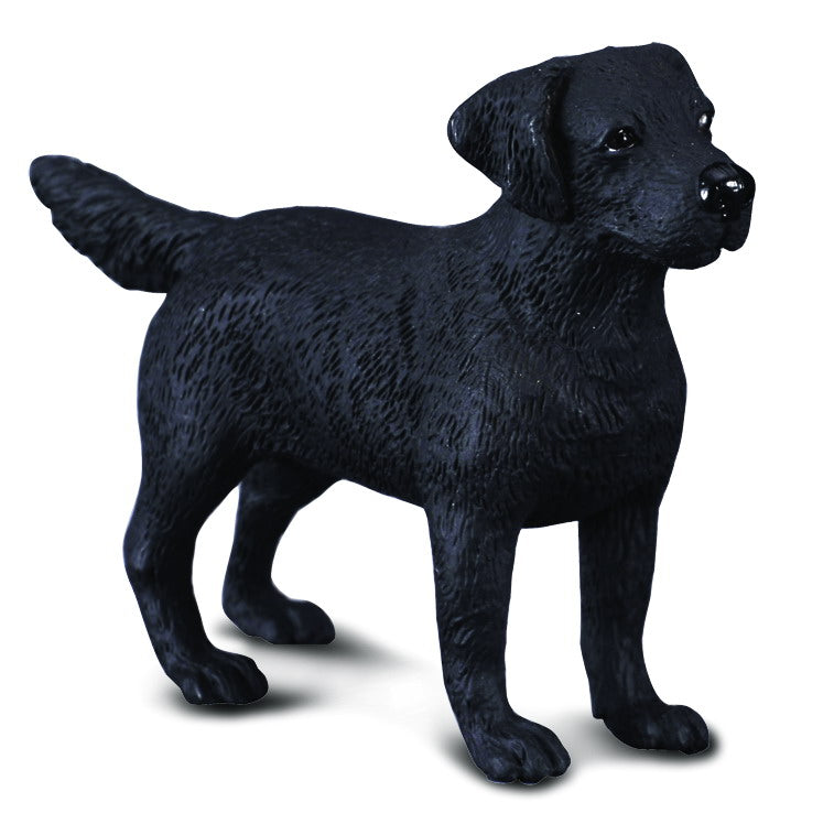Collecta Labrador Retriever