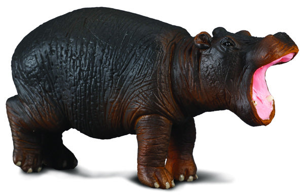 Collecta Hippopotamus Calf