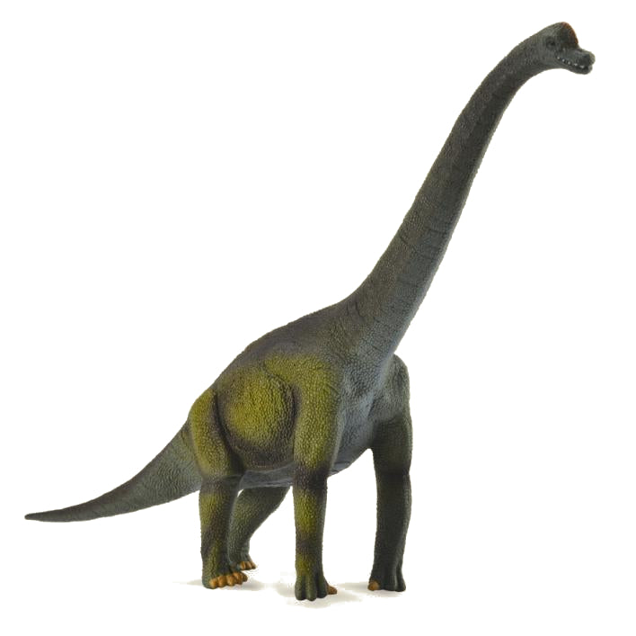 Collecta Brachiosaurus