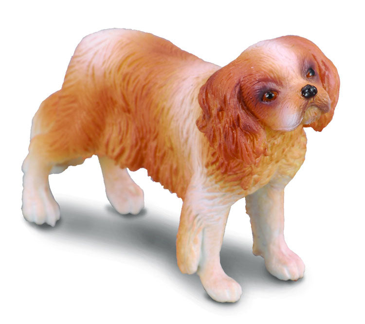 Collecta Cavalier King Charles Spaniel