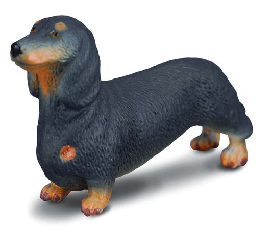 Collecta Dachshund