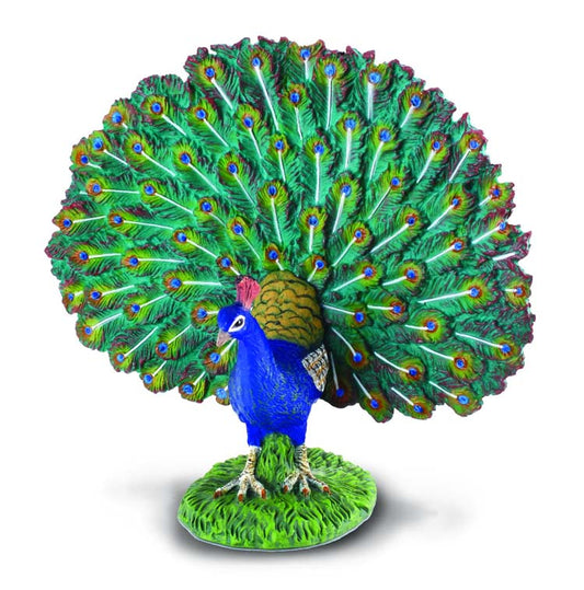 Collecta Peacock