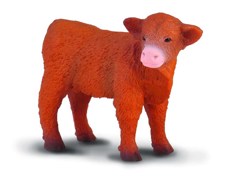 Collecta Highland Calf Standing
