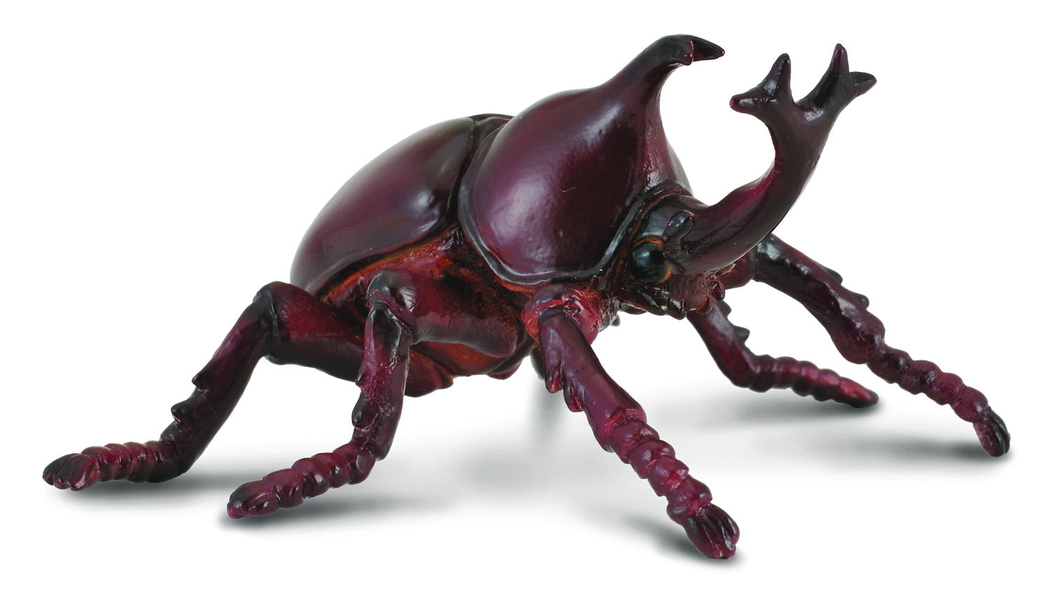 Collecta Rhinoceros Beetle