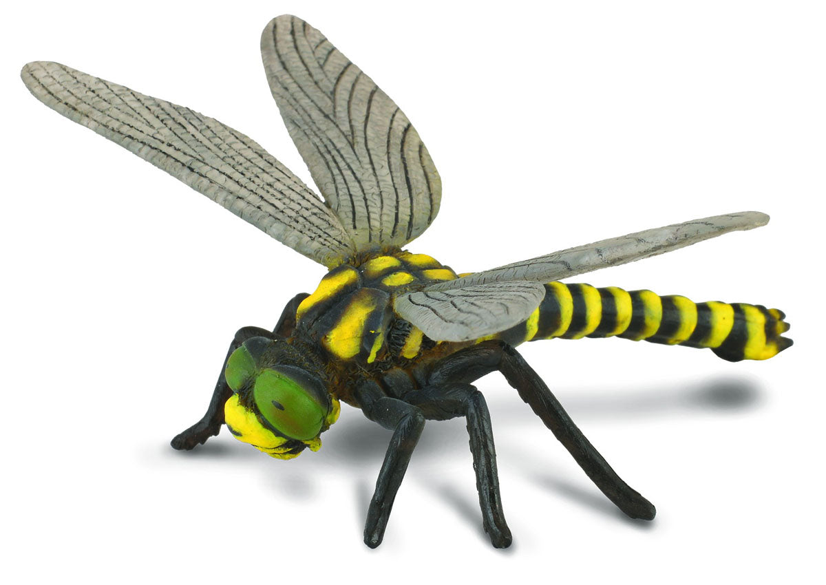 Collecta Golden Tailed Dragonfly