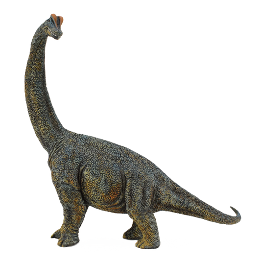 Collecta Brachiosaurus - Deluxe 1:40 Scale