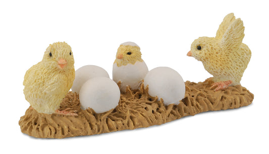 Collecta Chicks Hatching