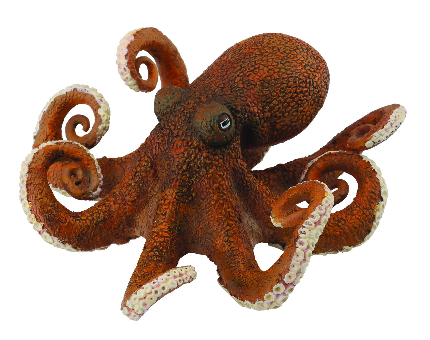 Collecta Octopus