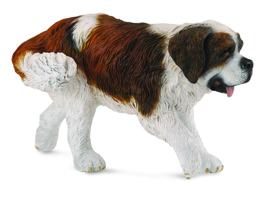 Collecta St Bernard