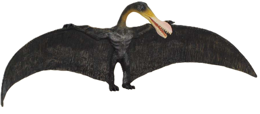 Collecta Ornithocehieirus