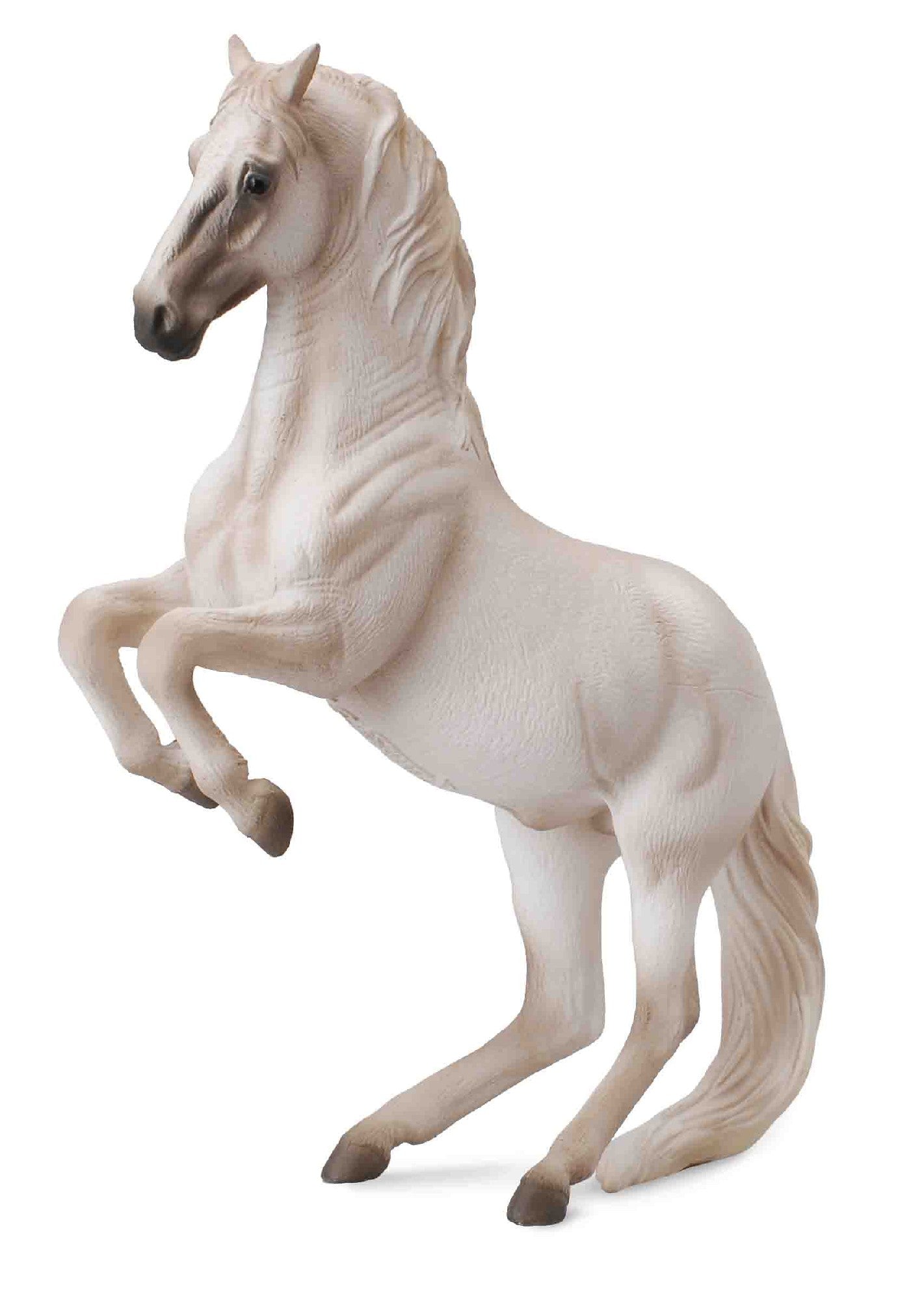 Collecta Lipozzaner - Stallion