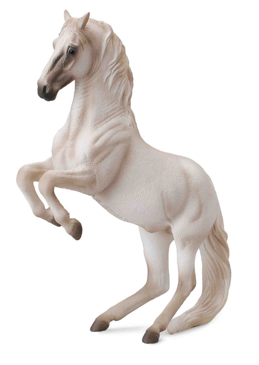 Collecta Lipozzaner - Stallion